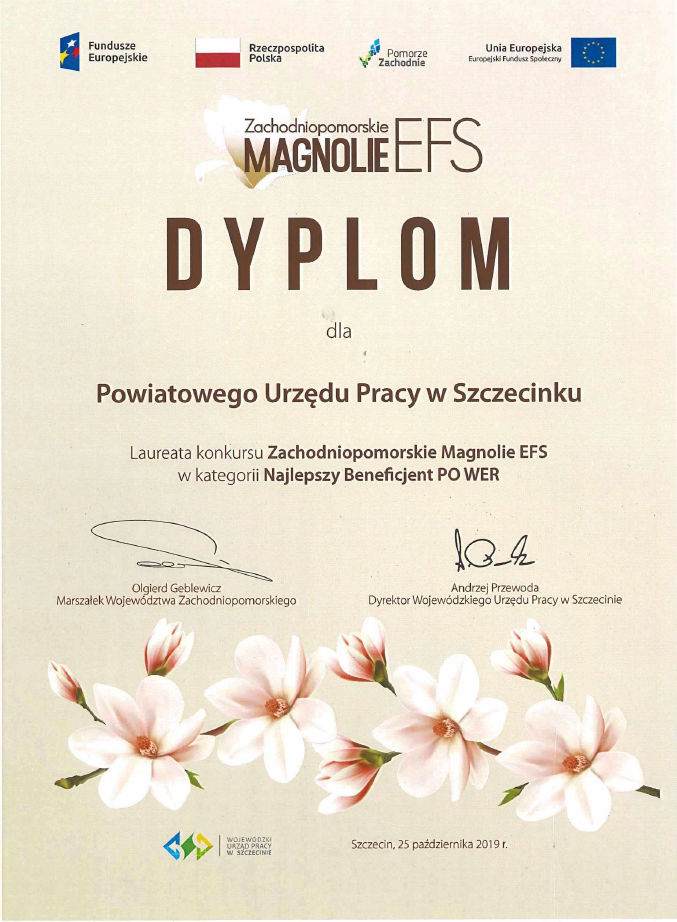 Magnolia Szczecinek dyplom